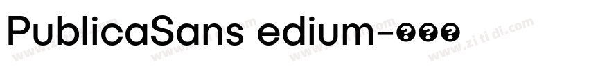 PublicaSans edium字体转换